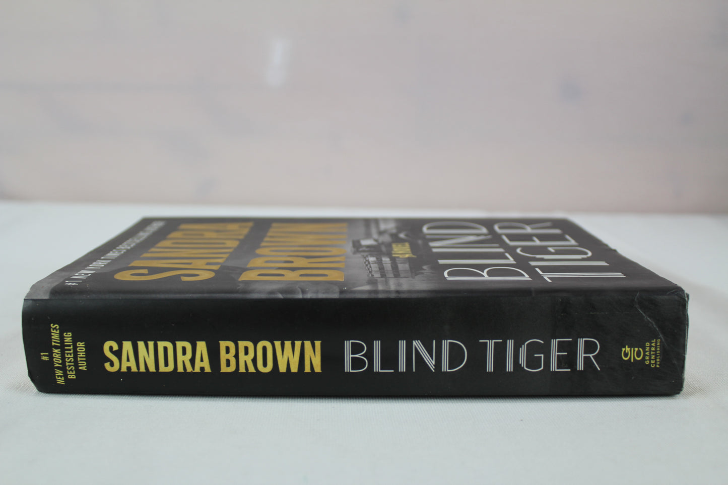 Blind Tiger by Sandra Brown