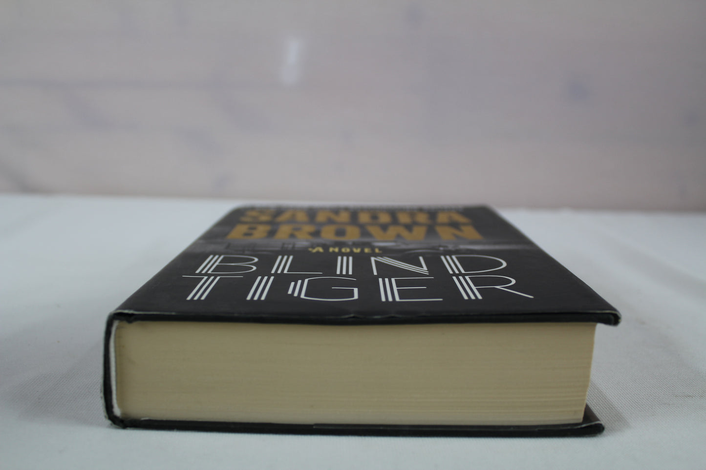 Blind Tiger by Sandra Brown