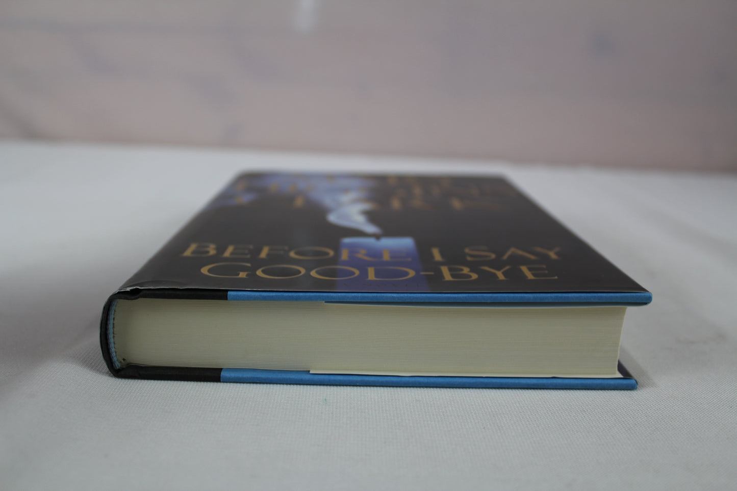Before I Say Good-Bye by Mary Higgins Clark