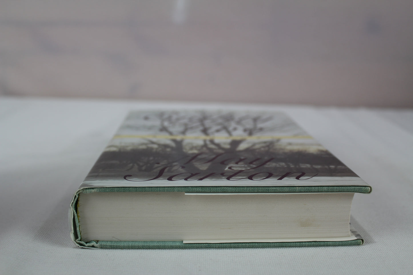 At Eighty Two : A Journal by May Sarton