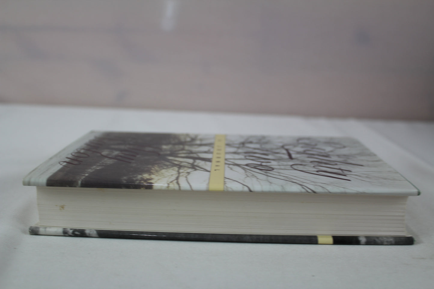 At Eighty Two : A Journal by May Sarton