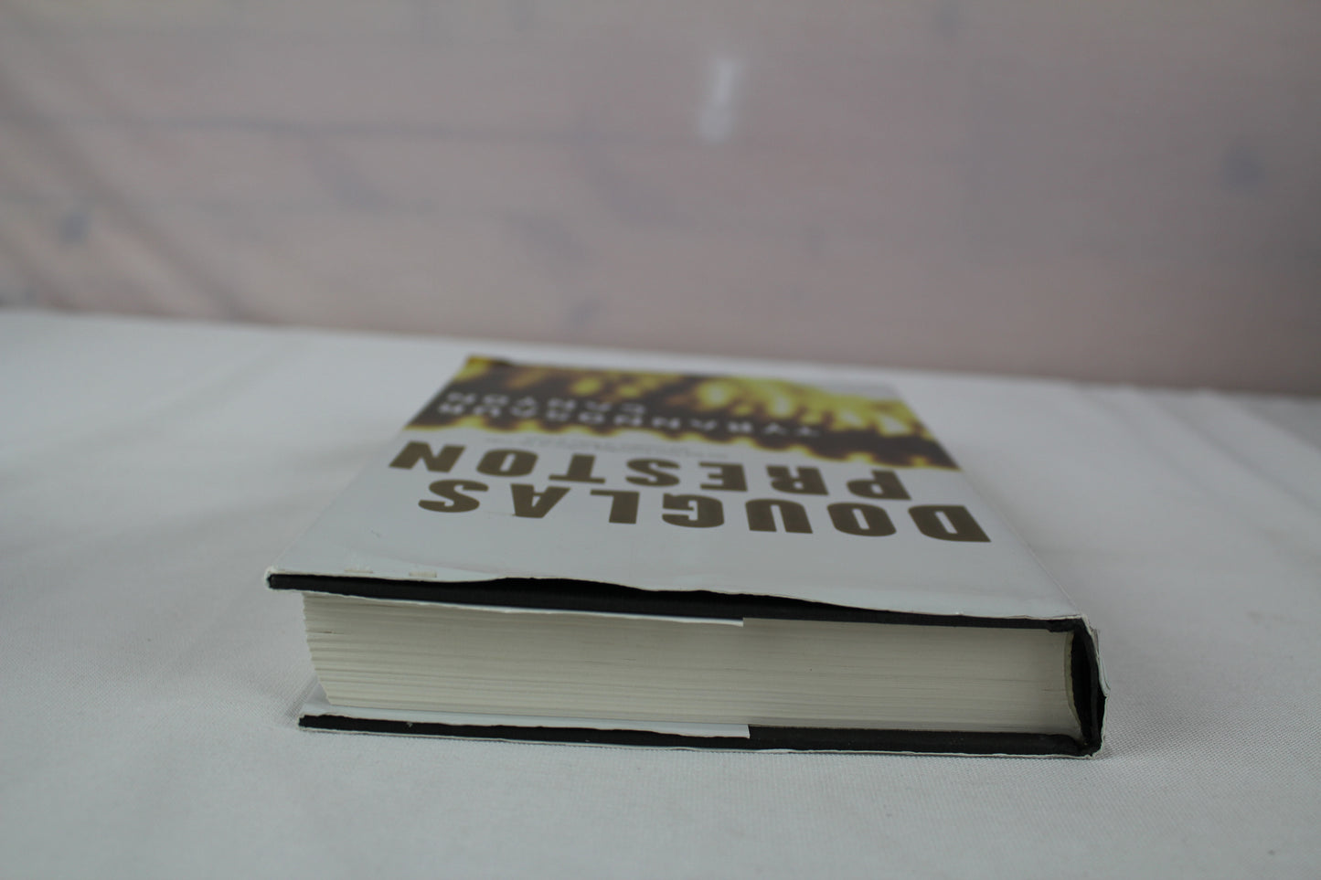 Tyrannosaur Canyon by Douglas Preston