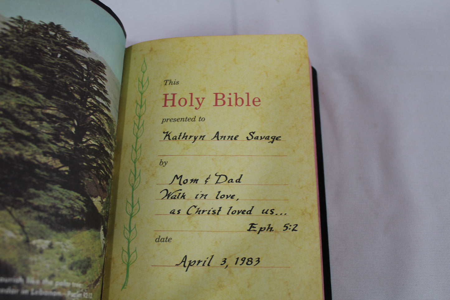 Holy Bible King James Version Basic Bible Helps