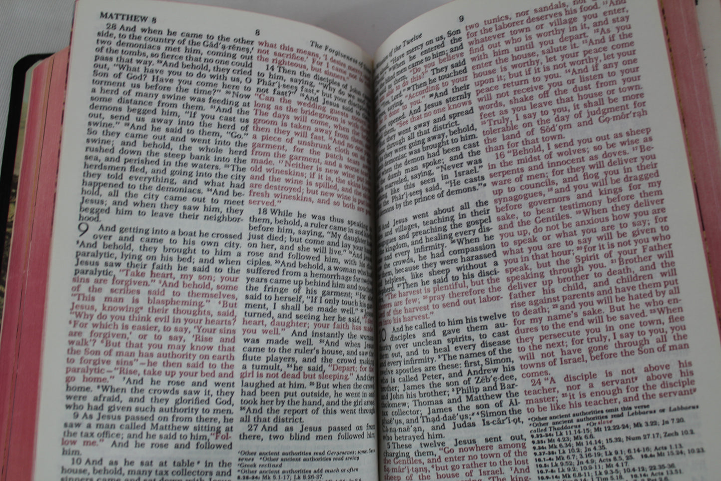 Holy Bible King James Version Basic Bible Helps