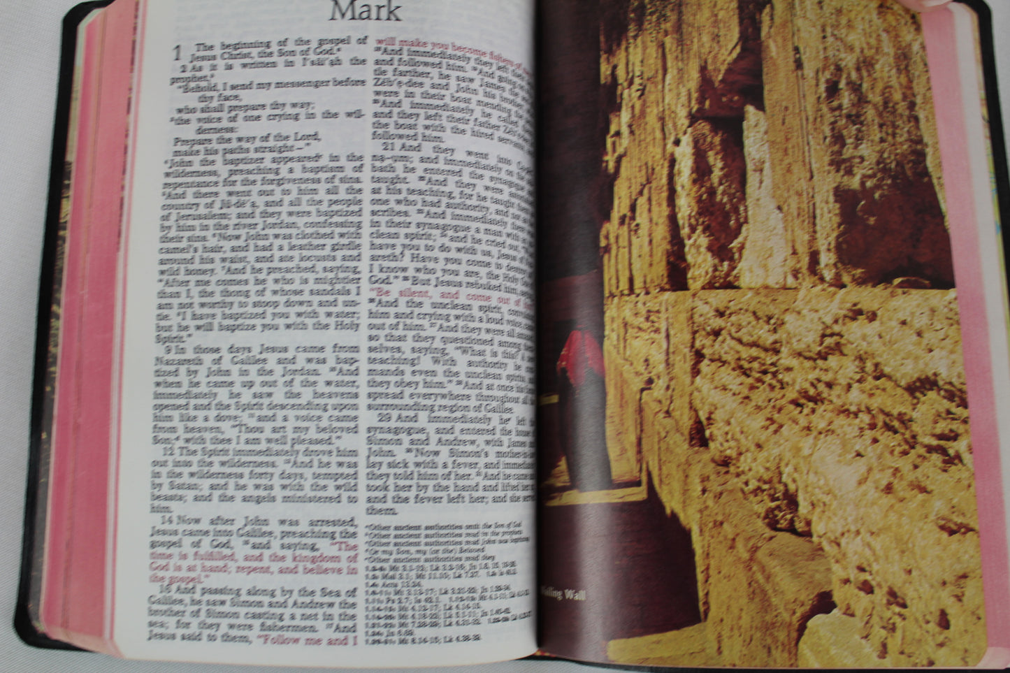 Holy Bible King James Version Basic Bible Helps