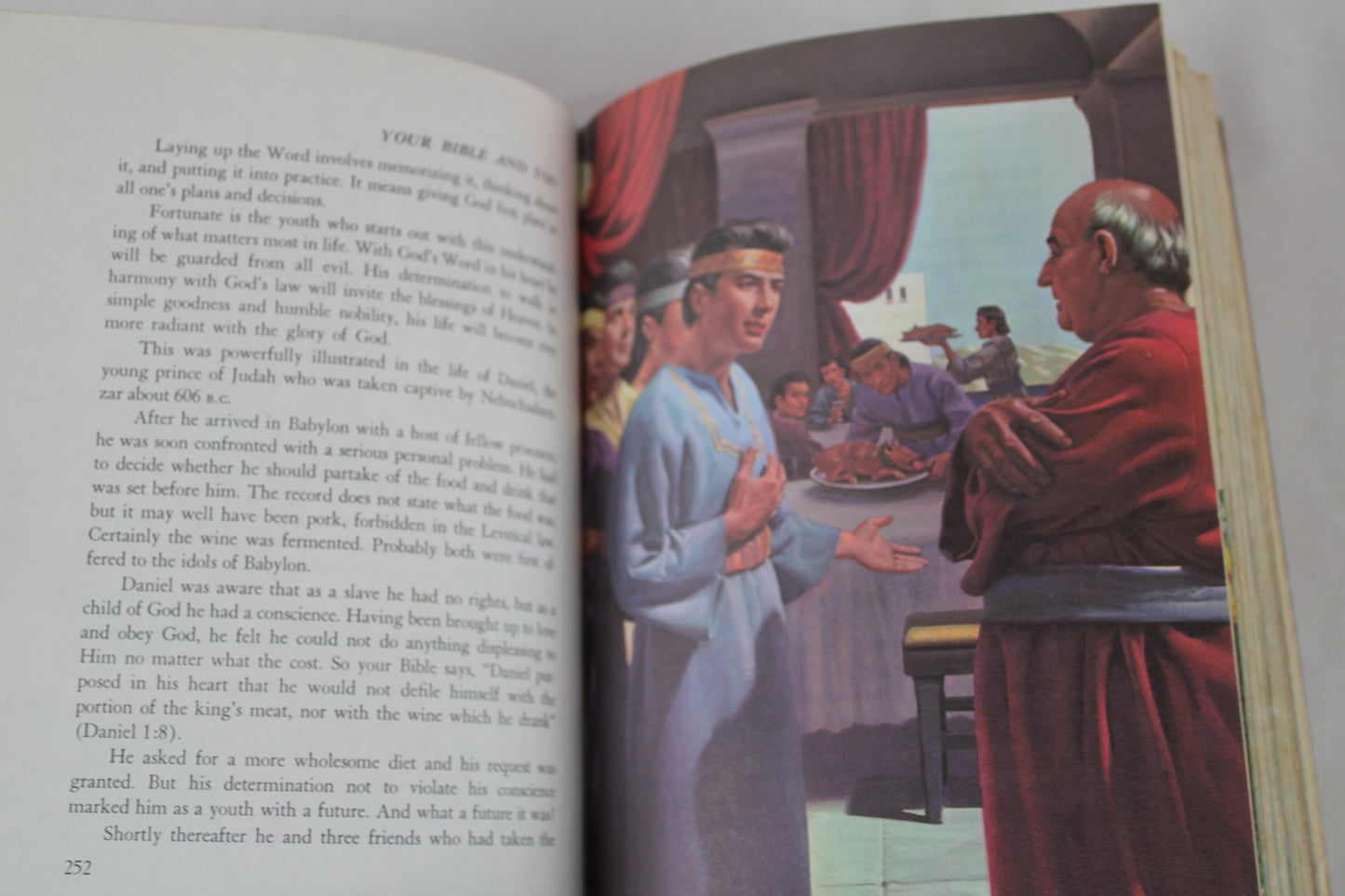 Your Bible and You by Arthur S. Maxwell