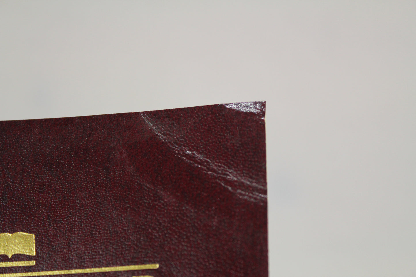 Good News Bible: English Version- Flex Burgundy by American Bible Society
