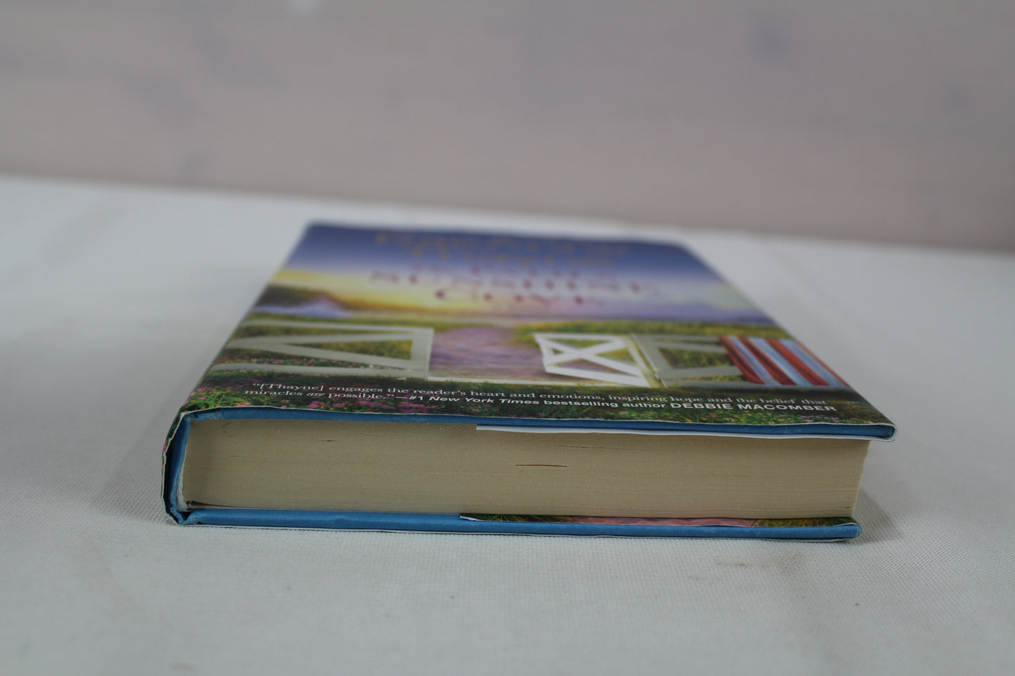 The Path to Sunshine Cove: A Novel (Cape Sanctuary, 3) by RaeAnne Thayne