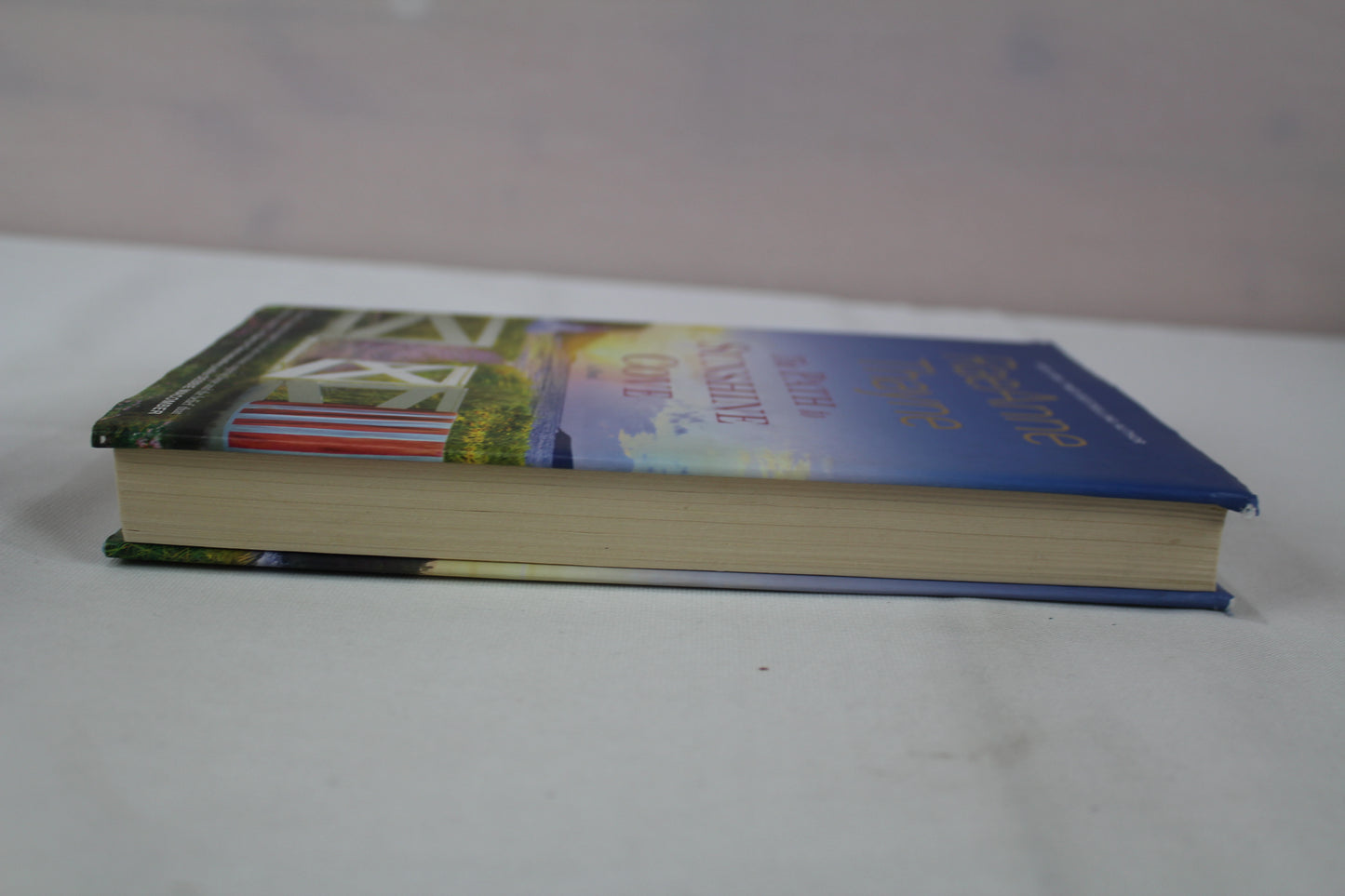 The Path to Sunshine Cove: A Novel (Cape Sanctuary, 3) by RaeAnne Thayne
