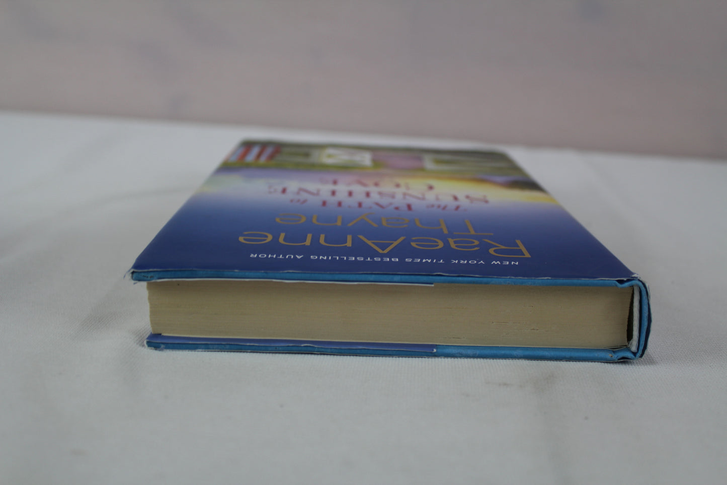 The Path to Sunshine Cove: A Novel (Cape Sanctuary, 3) by RaeAnne Thayne