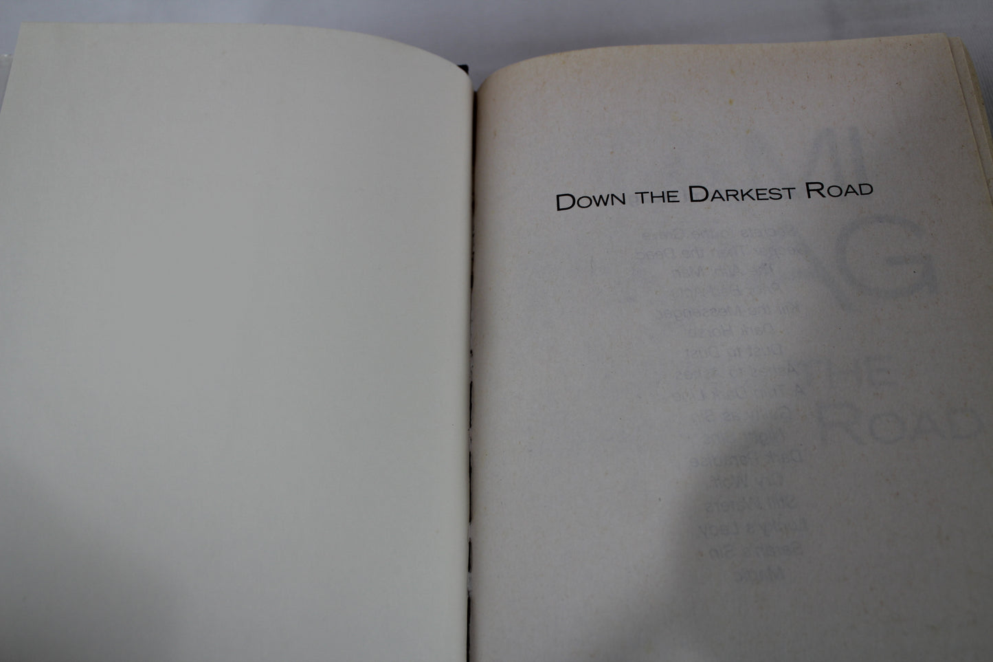 Down the Darkest Road by Tami Hoag [Large Print]