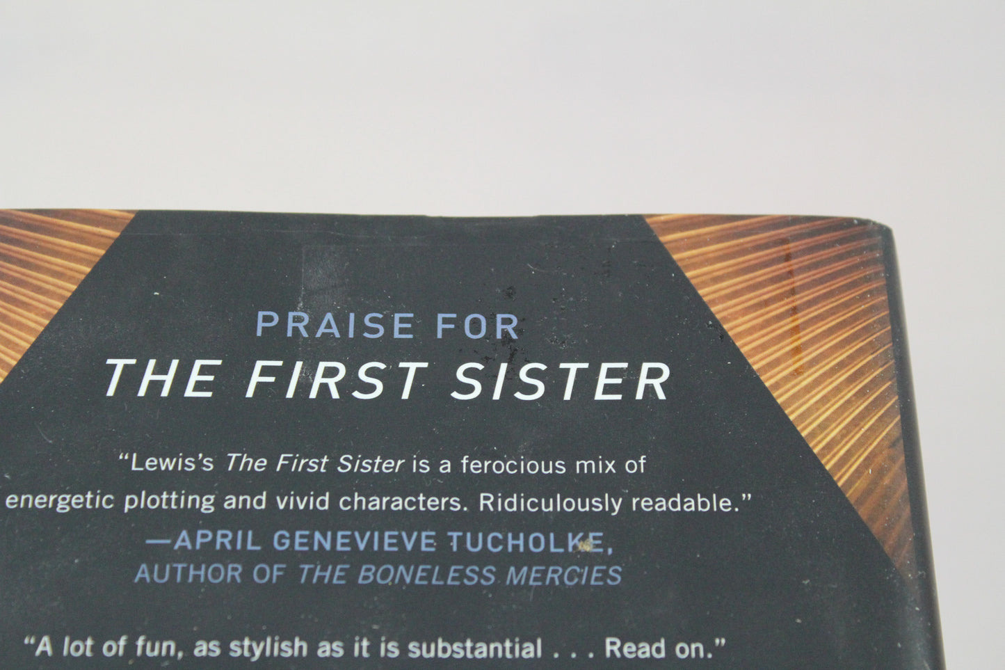 The Second Rebel (The First Sister trilogy) by Linden A. Lewis