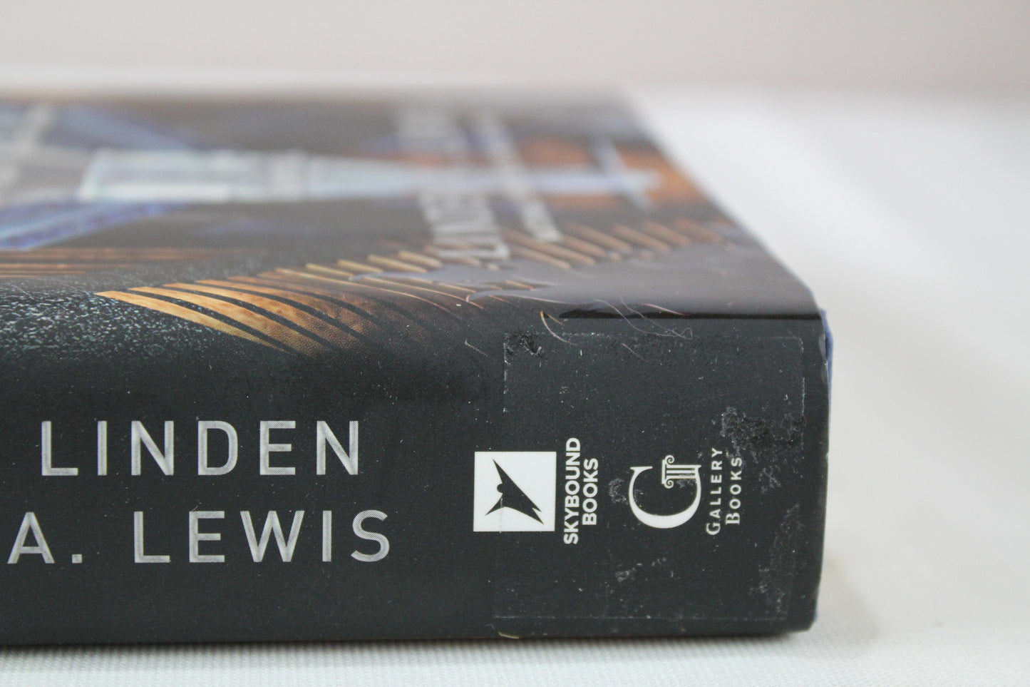 The Second Rebel (The First Sister trilogy) by Linden A. Lewis