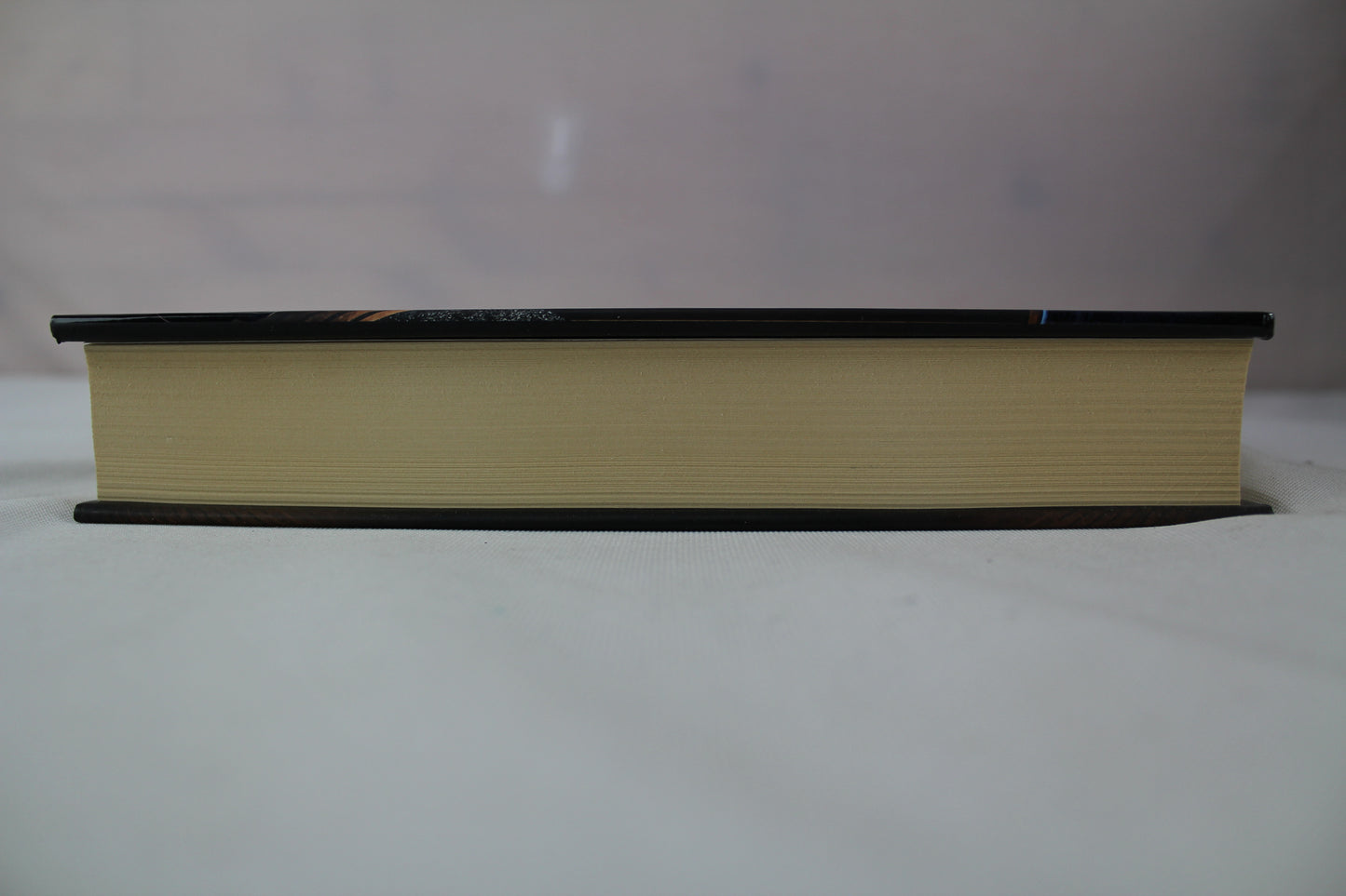 The Second Rebel (The First Sister trilogy) by Linden A. Lewis