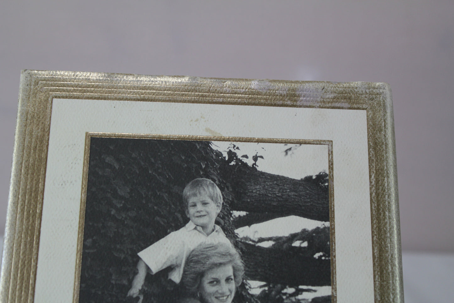 Diana Her True Story Commemorative Edition by Andrew Morton