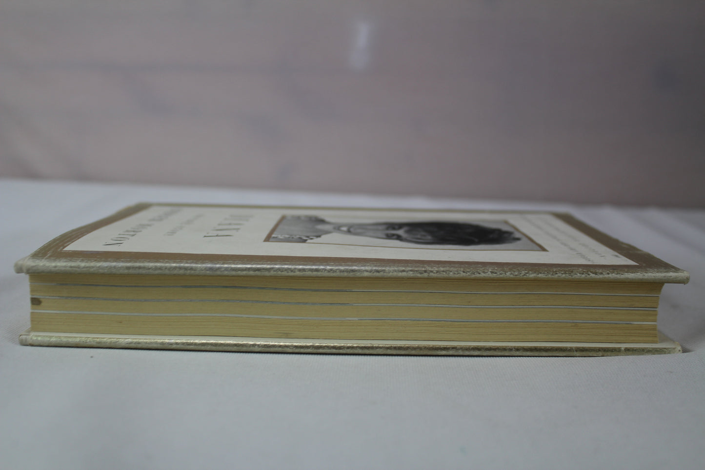 Diana Her True Story Commemorative Edition by Andrew Morton