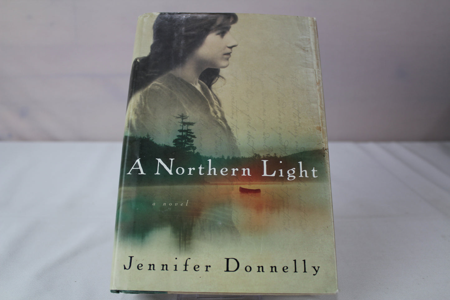 A Northern Light by Jennifer Donnelly