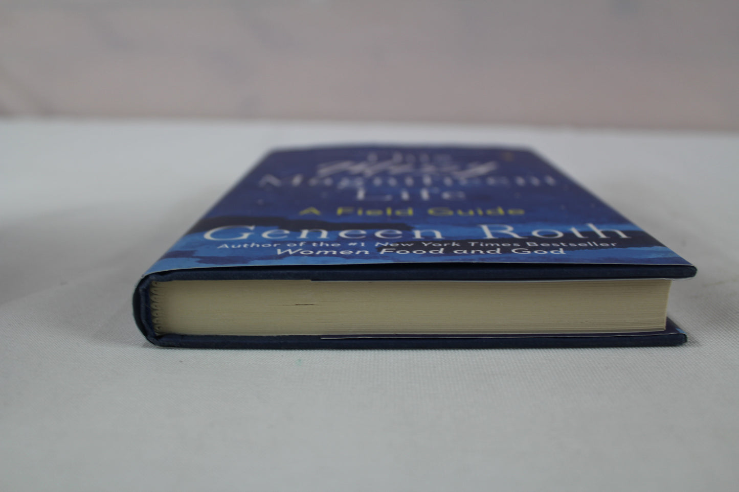 This Messy Magnificent Life: A Field Guide by Geneen Roth, Anne Lamott