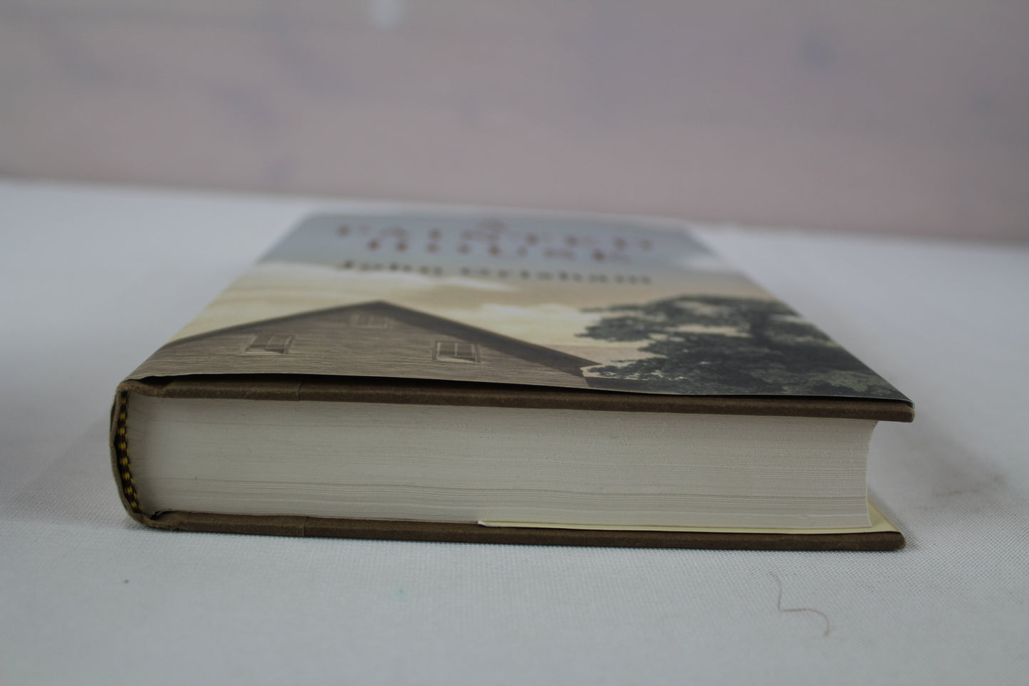 A Painted House: A Novel by John Grisham