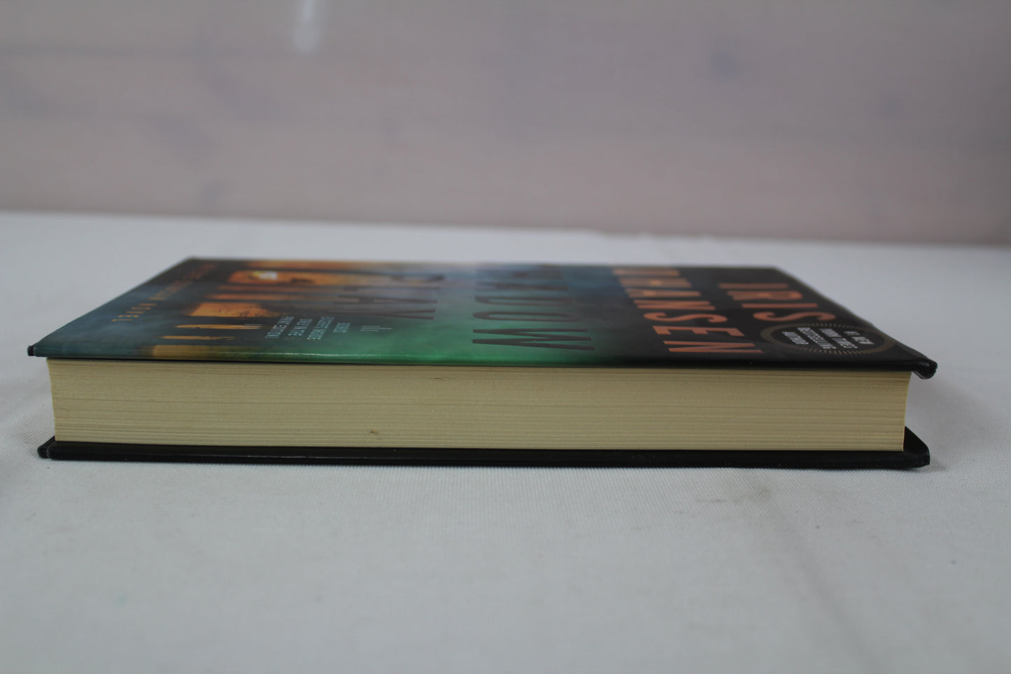 Shadow Play: An Eve Duncan Novel by Iris Johansen