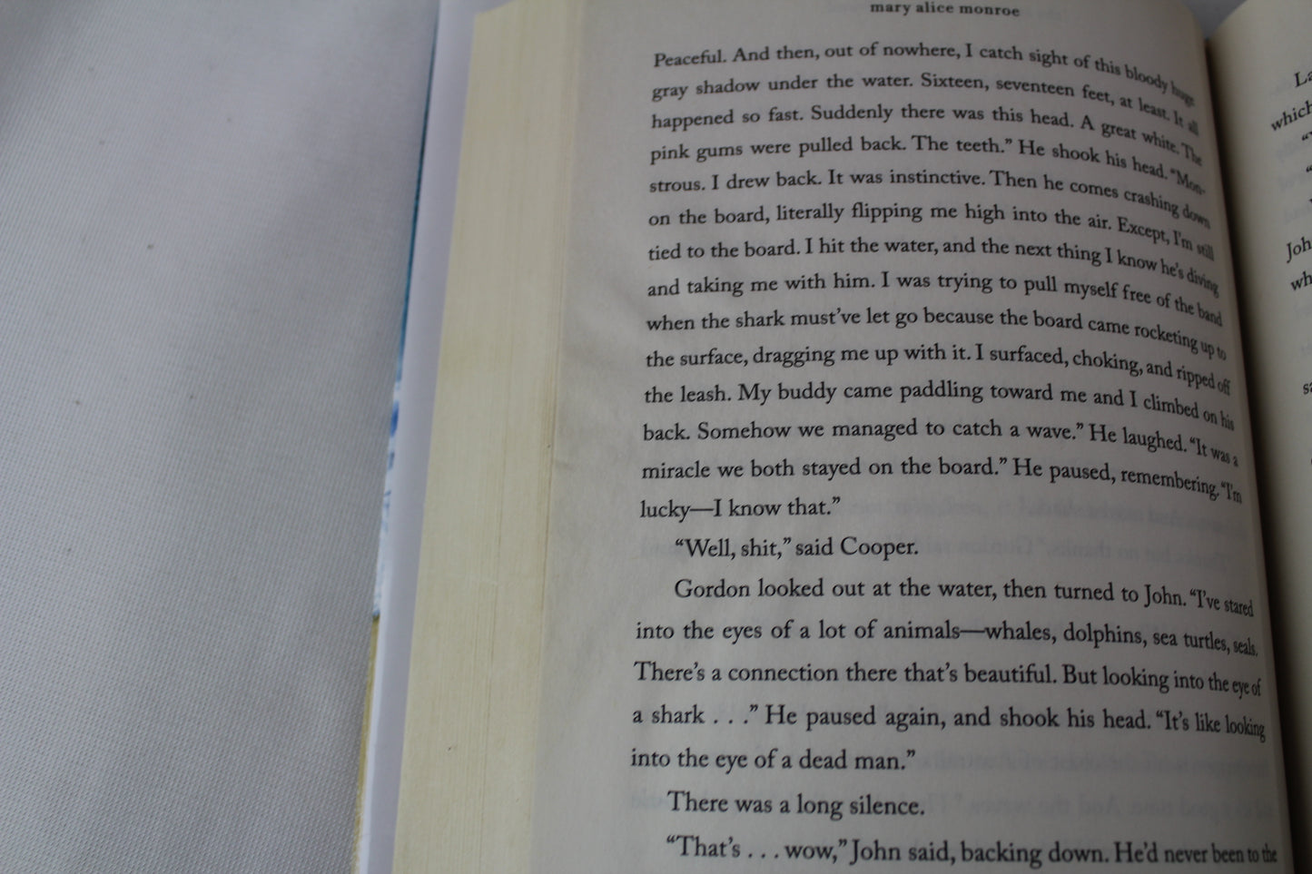 The Summer of Lost and Found (The Beach House) by Mary Alice Monroe