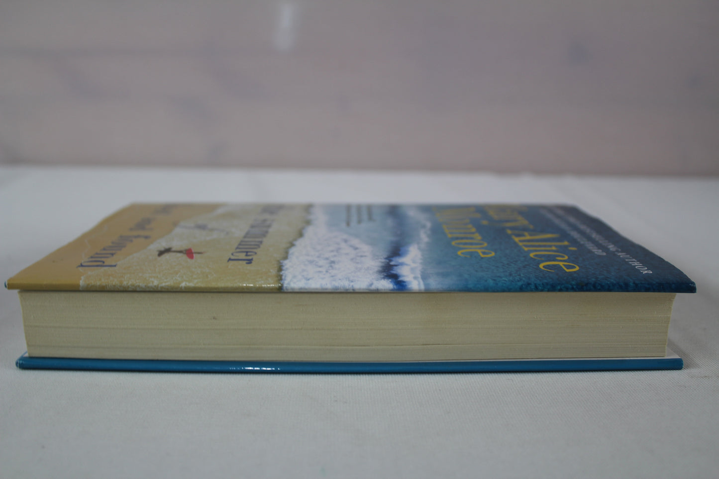 The Summer of Lost and Found (The Beach House) by Mary Alice Monroe