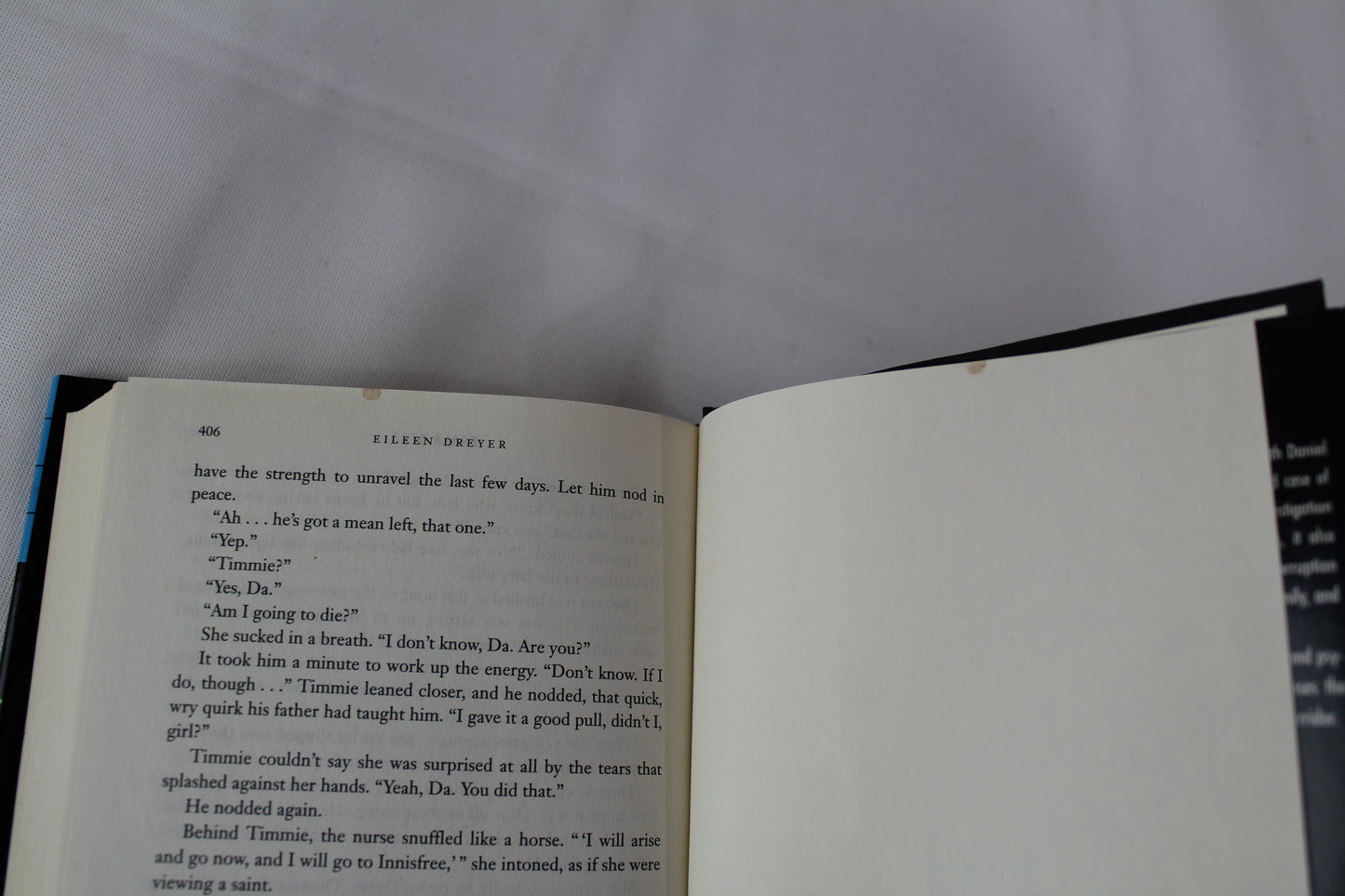 Brain Dead by Eileen Dreyer