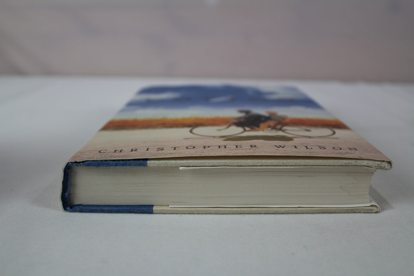 Cotton by Christopher P. Wilson