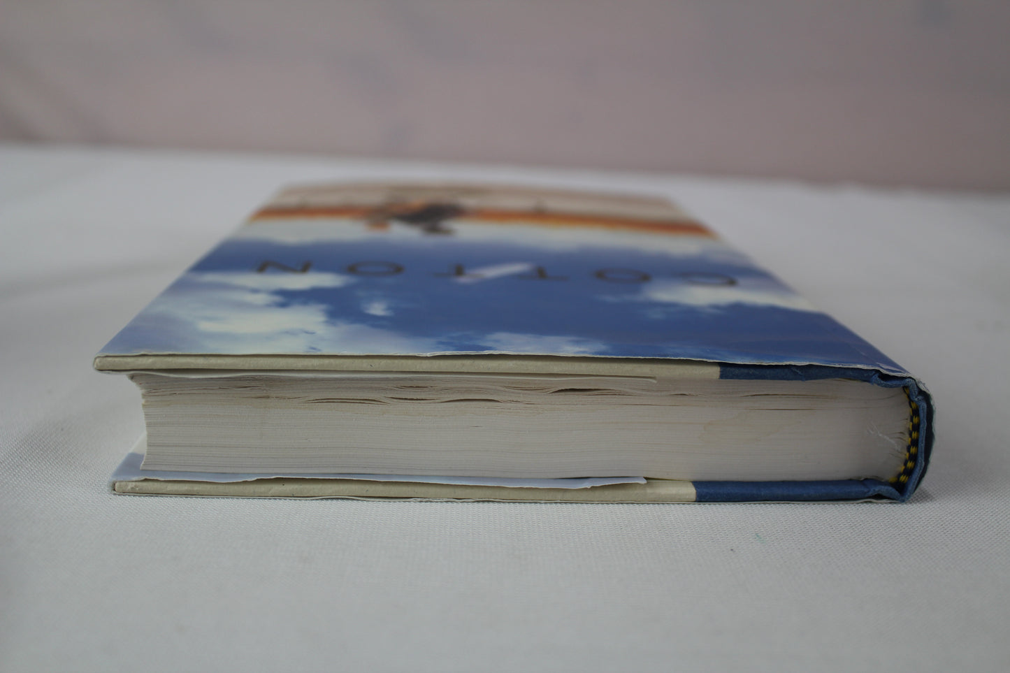 Cotton by Christopher P. Wilson