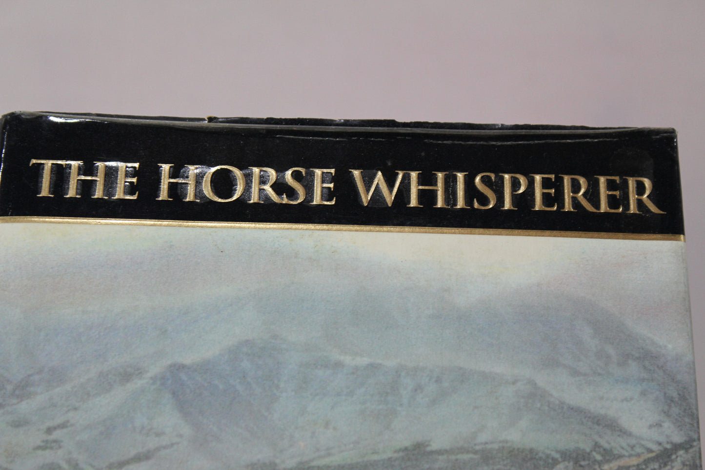 The Horse Whisperer by Nicholas Evans