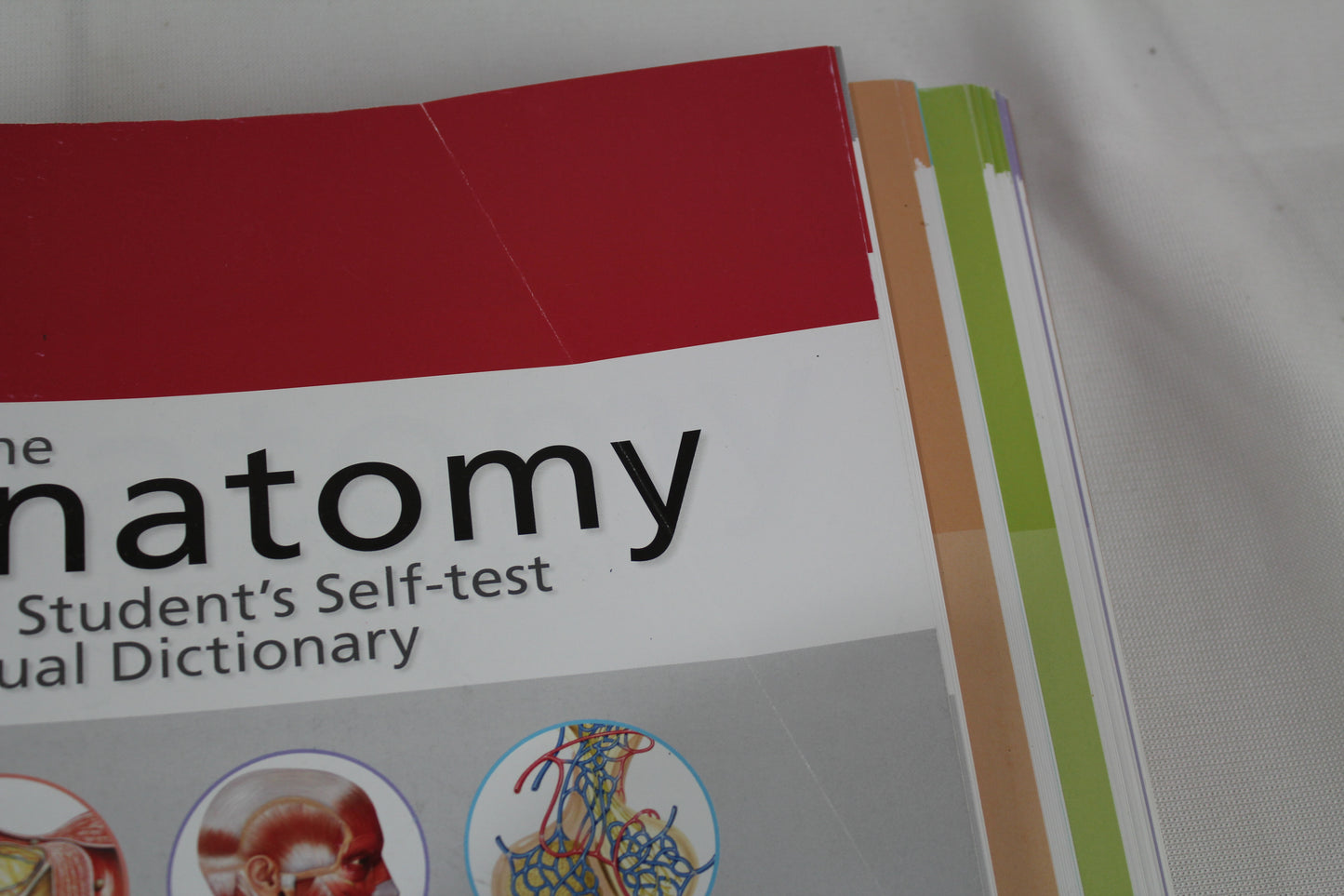 Anatomy Student's Self-Test Visual Dictionary: An All-in-One Anatomy Reference and Study Aid (Barron's Visual Dictionaries) by Ken Ashwell Ph.D.