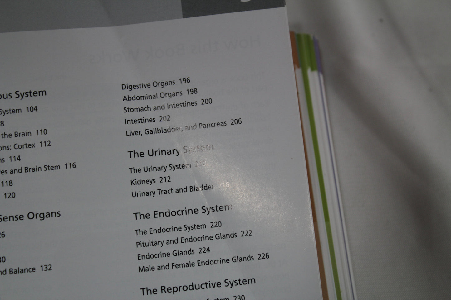 Anatomy Student's Self-Test Visual Dictionary: An All-in-One Anatomy Reference and Study Aid (Barron's Visual Dictionaries) by Ken Ashwell Ph.D.