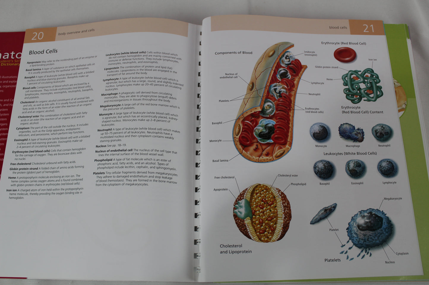 Anatomy Student's Self-Test Visual Dictionary: An All-in-One Anatomy Reference and Study Aid (Barron's Visual Dictionaries) by Ken Ashwell Ph.D.