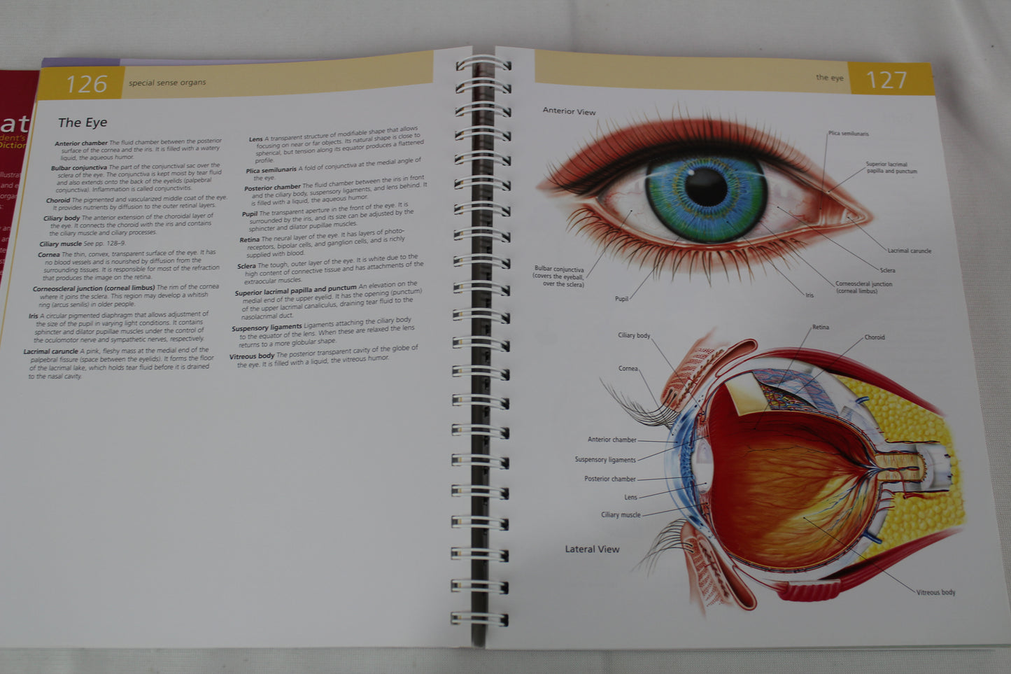 Anatomy Student's Self-Test Visual Dictionary: An All-in-One Anatomy Reference and Study Aid (Barron's Visual Dictionaries) by Ken Ashwell Ph.D.