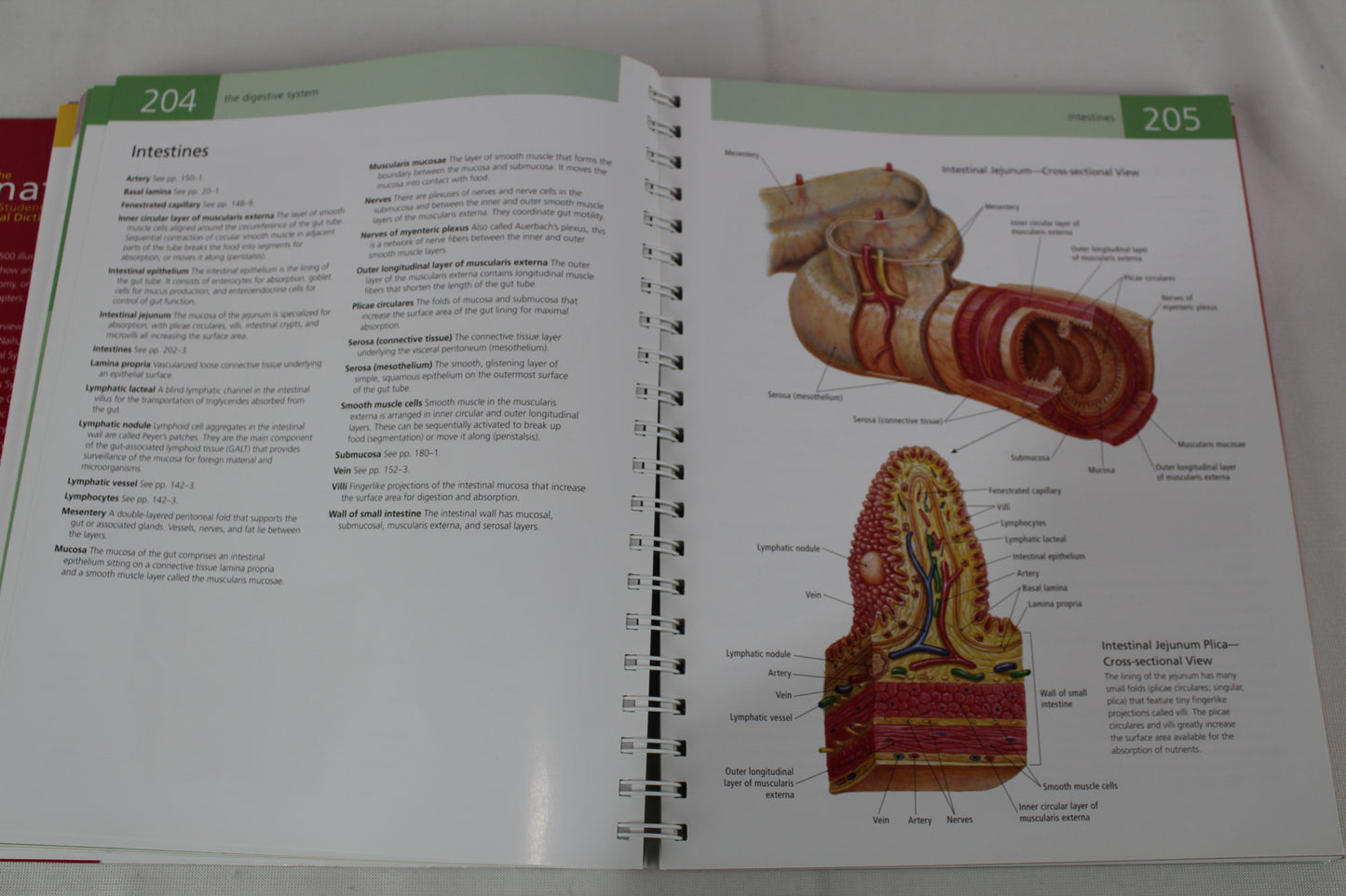 Anatomy Student's Self-Test Visual Dictionary: An All-in-One Anatomy Reference and Study Aid (Barron's Visual Dictionaries) by Ken Ashwell Ph.D.