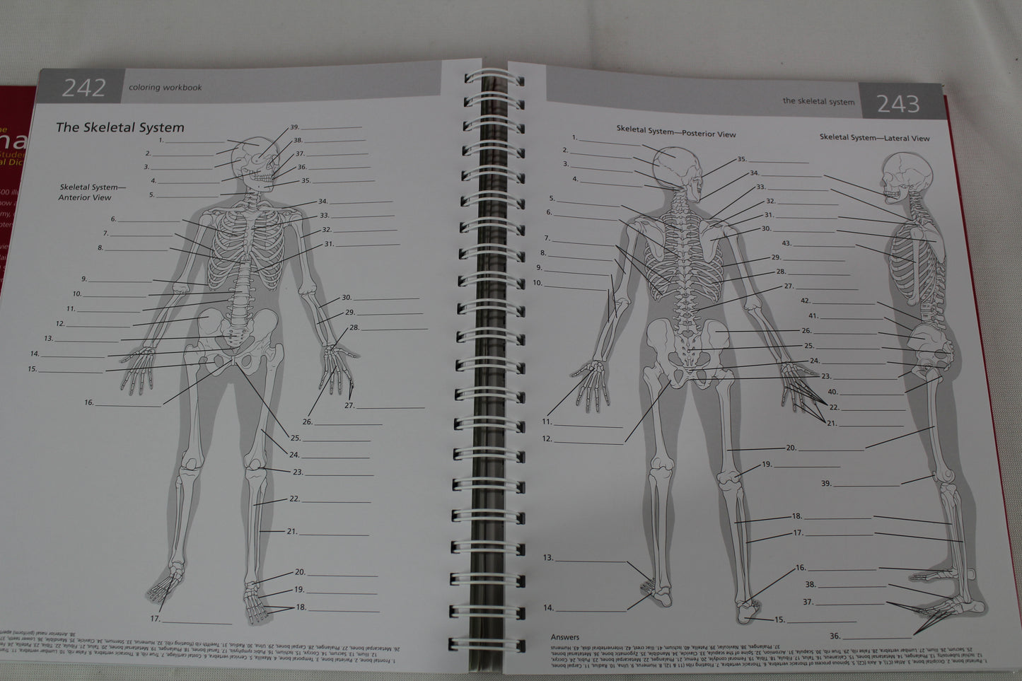 Anatomy Student's Self-Test Visual Dictionary: An All-in-One Anatomy Reference and Study Aid (Barron's Visual Dictionaries) by Ken Ashwell Ph.D.