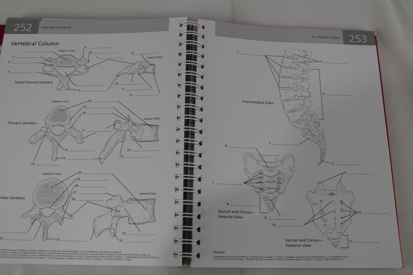 Anatomy Student's Self-Test Visual Dictionary: An All-in-One Anatomy Reference and Study Aid (Barron's Visual Dictionaries) by Ken Ashwell Ph.D.