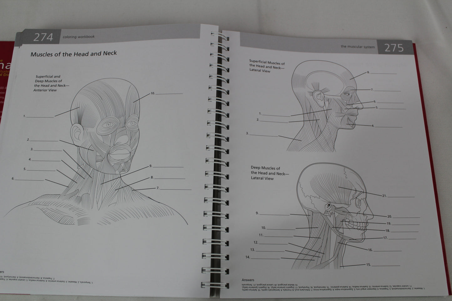 Anatomy Student's Self-Test Visual Dictionary: An All-in-One Anatomy Reference and Study Aid (Barron's Visual Dictionaries) by Ken Ashwell Ph.D.