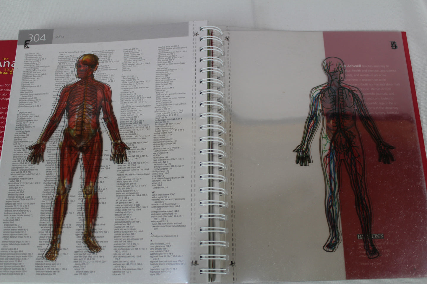Anatomy Student's Self-Test Visual Dictionary: An All-in-One Anatomy Reference and Study Aid (Barron's Visual Dictionaries) by Ken Ashwell Ph.D.