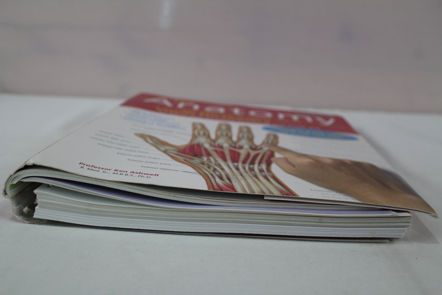 Anatomy Student's Self-Test Visual Dictionary: An All-in-One Anatomy Reference and Study Aid (Barron's Visual Dictionaries) by Ken Ashwell Ph.D.