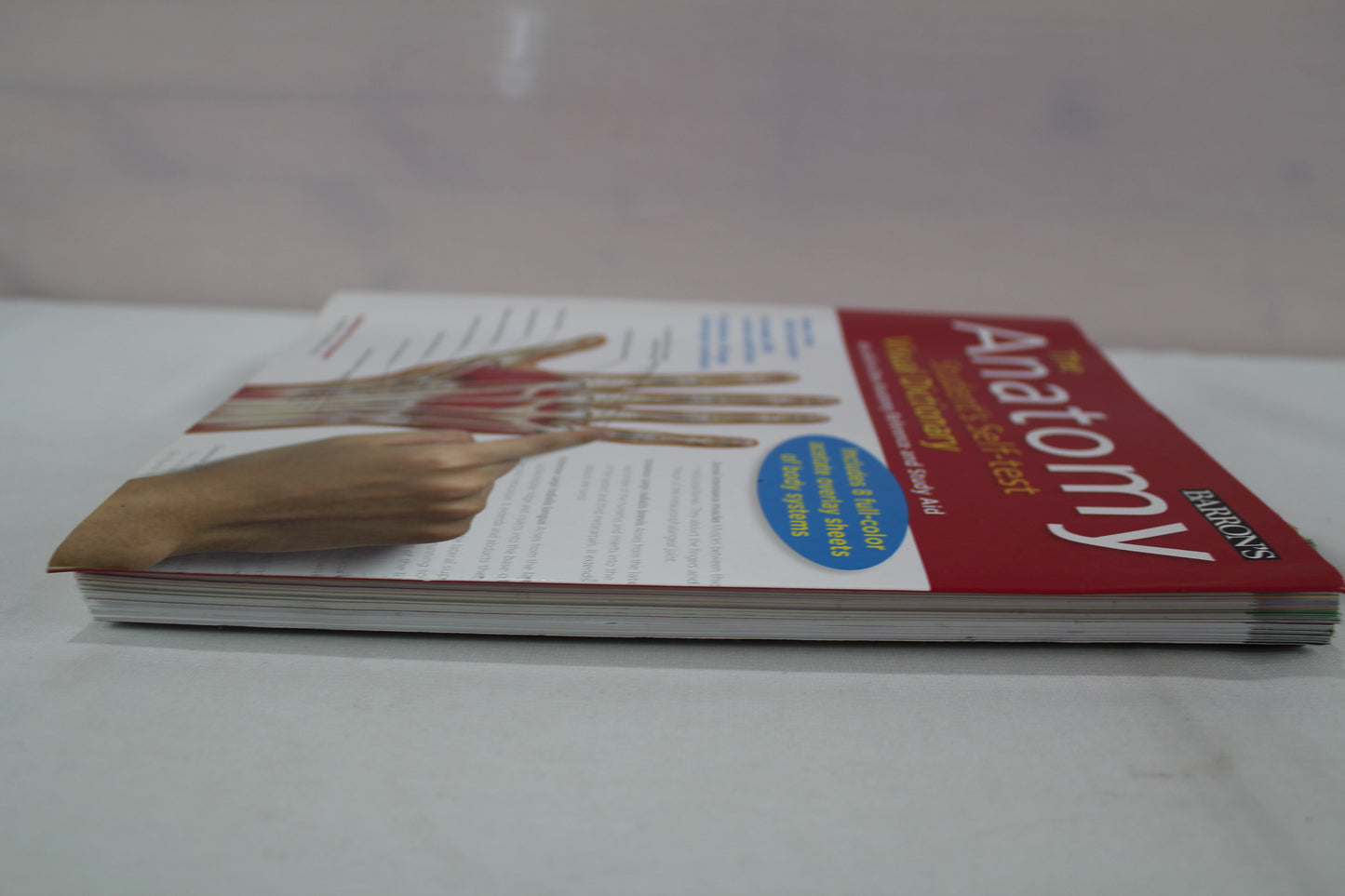 Anatomy Student's Self-Test Visual Dictionary: An All-in-One Anatomy Reference and Study Aid (Barron's Visual Dictionaries) by Ken Ashwell Ph.D.