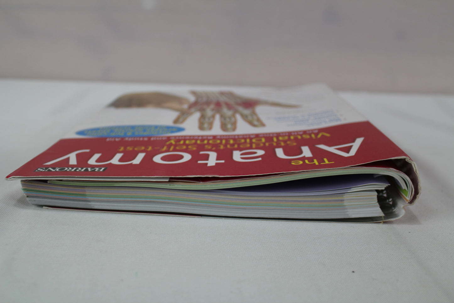 Anatomy Student's Self-Test Visual Dictionary: An All-in-One Anatomy Reference and Study Aid (Barron's Visual Dictionaries) by Ken Ashwell Ph.D.
