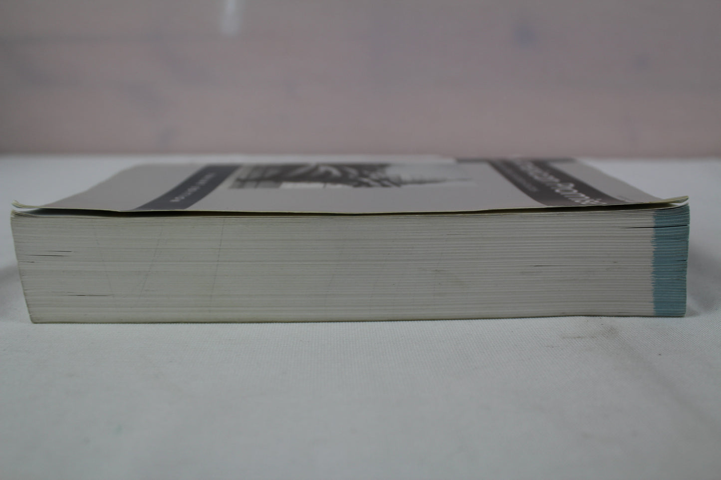 The American Promise Value Edition, Combined Version: A History of the United States by James L. Roark, Patricia Cline Cohen, Sarah Stage, Susan M. Hartmann