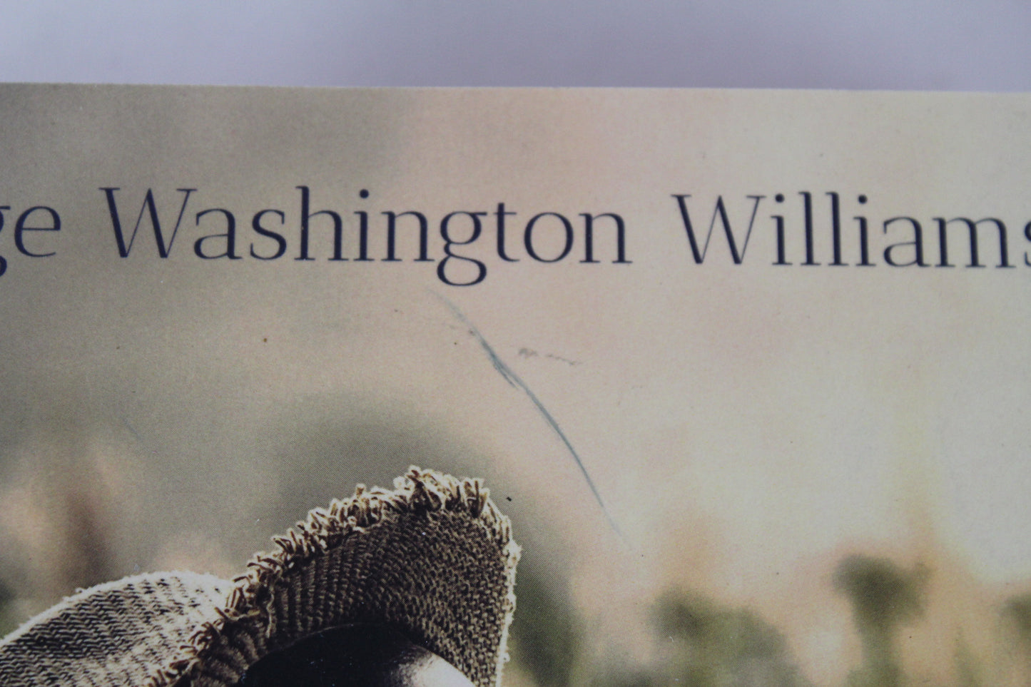 History of the Negro Race in America: From 1619 to 1880: Volume I & II, Complete by George Washington Williams (2021)
