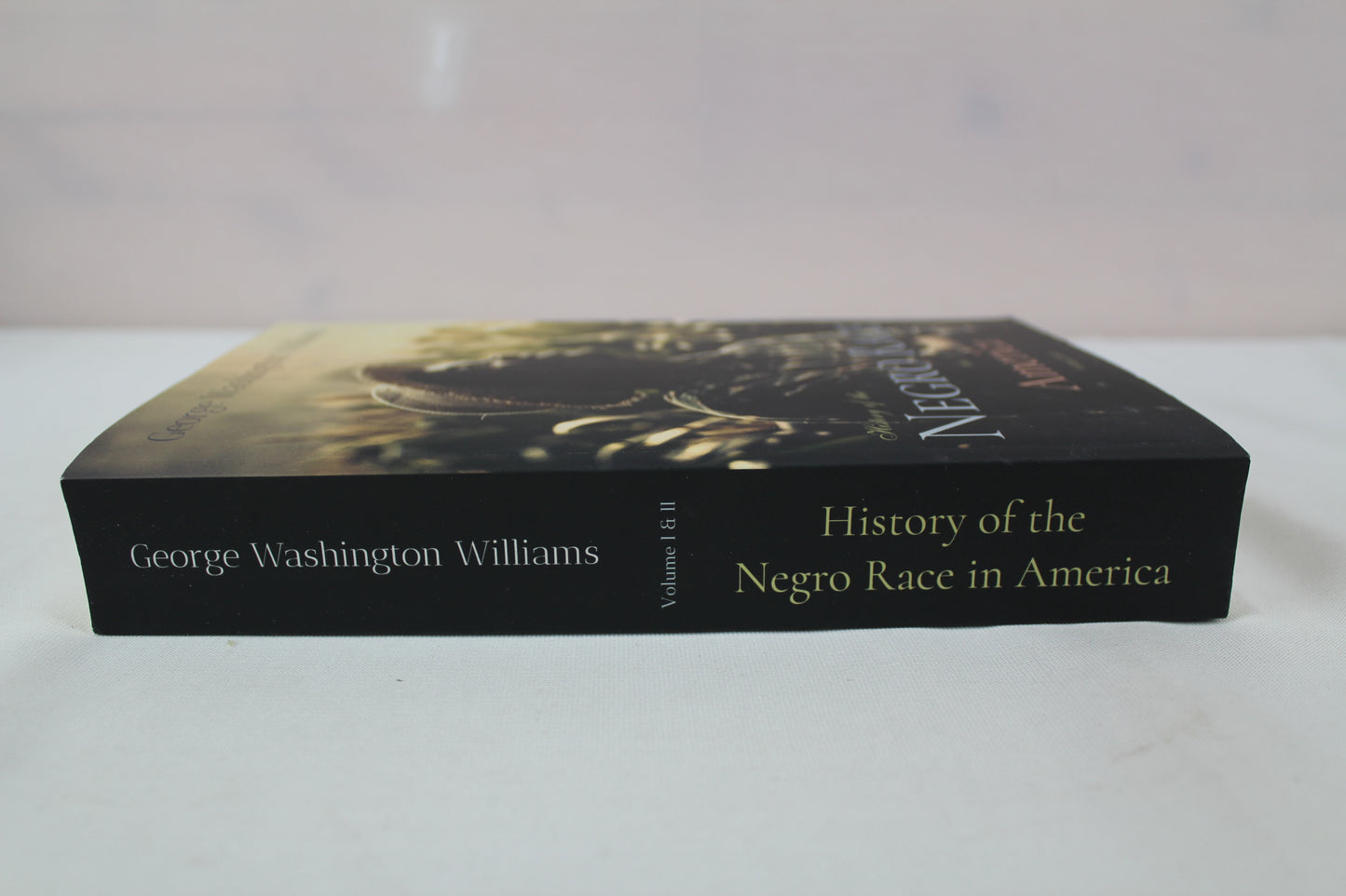 History of the Negro Race in America: From 1619 to 1880: Volume I & II, Complete by George Washington Williams (2021)