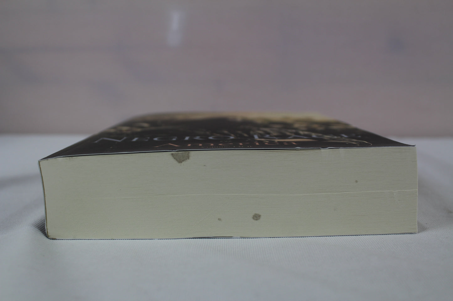 History of the Negro Race in America: From 1619 to 1880: Volume I & II, Complete by George Washington Williams (2021)