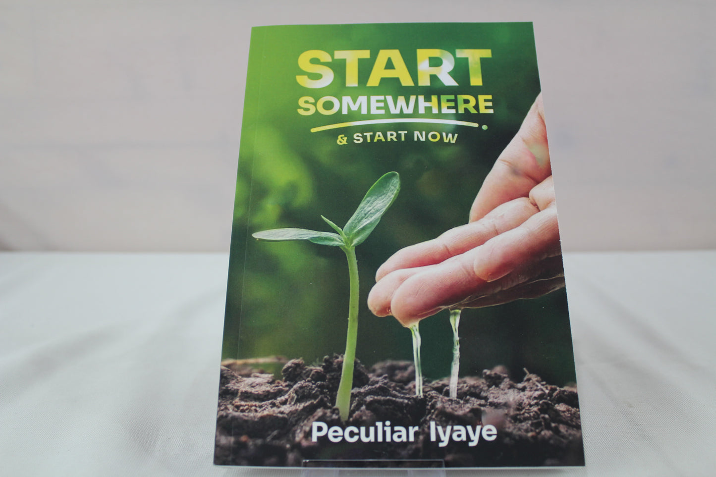 START SOMEWHERE AND START NOW: Timeless Lessons On How To Start A Business With Zero Capital by Peculiar Iyaye