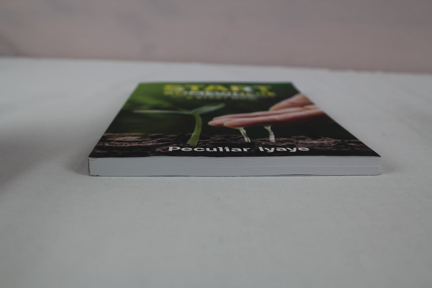 START SOMEWHERE AND START NOW: Timeless Lessons On How To Start A Business With Zero Capital by Peculiar Iyaye