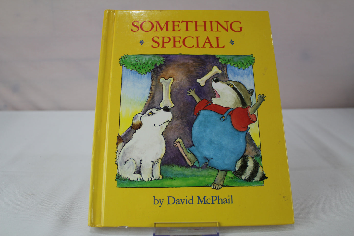 Something Special by David McPhail