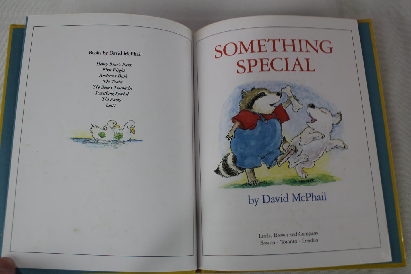 Something Special by David McPhail